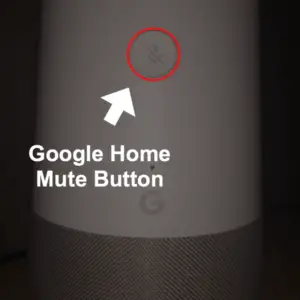 google-home-displaying-mute-button